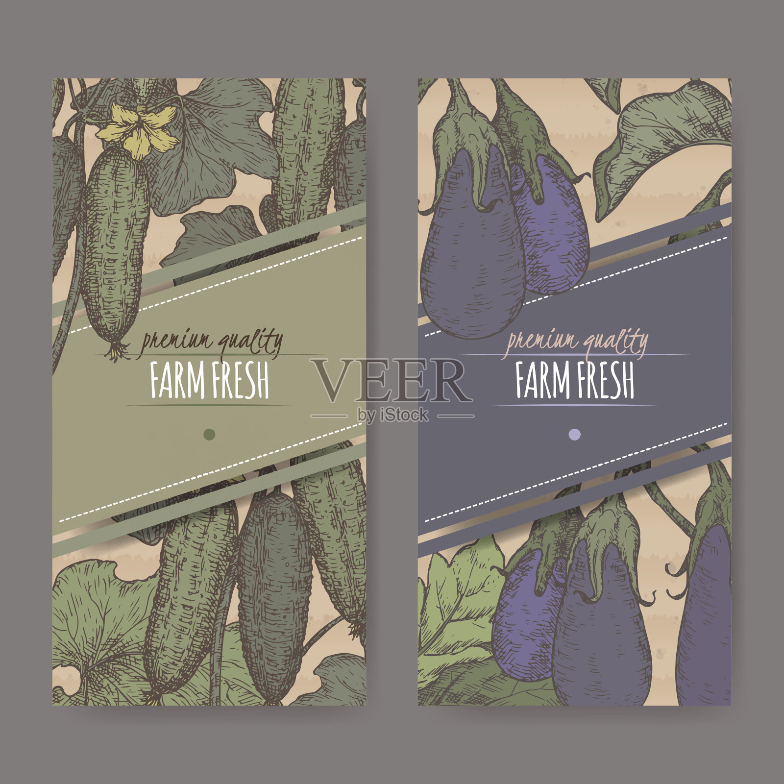 两种颜色的标签，新鲜黄瓜和茄子的纸板质地。设计模板素材