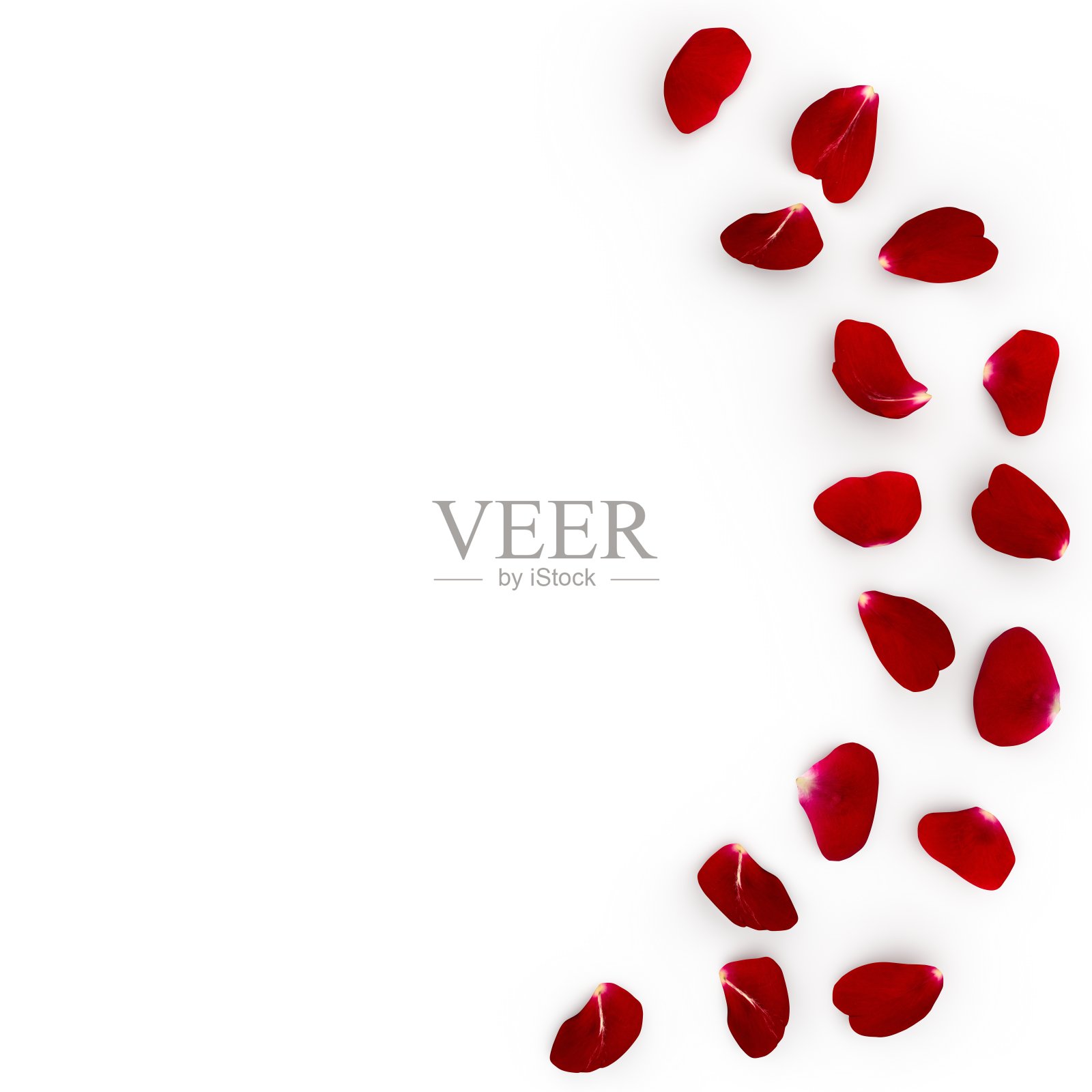 红玫瑰花瓣半圆形地散落在地上。在花瓣的阴影下照片摄影图片