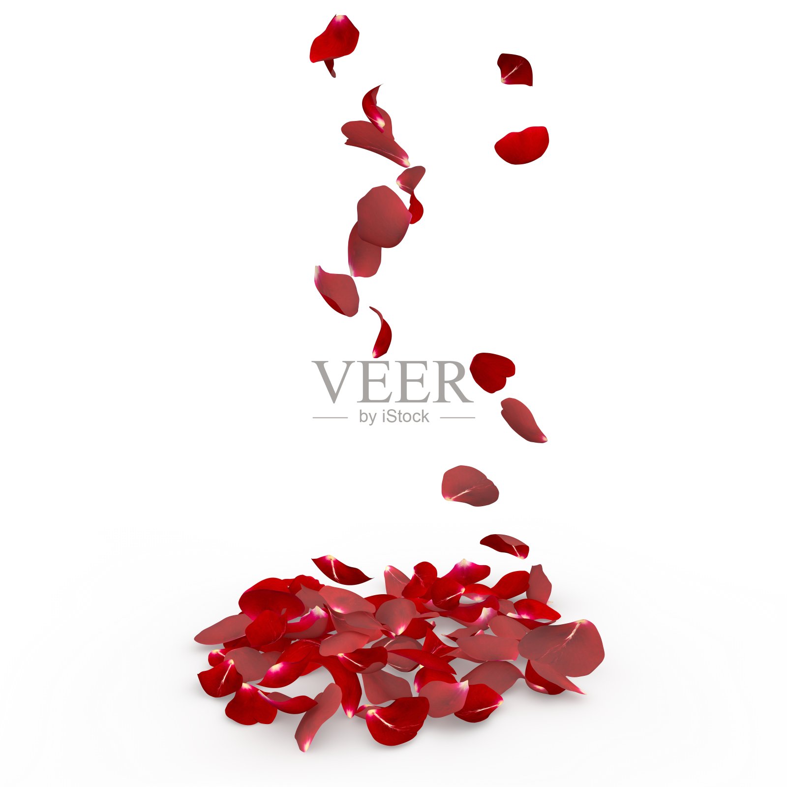 玫瑰花瓣飘落到地板上照片摄影图片