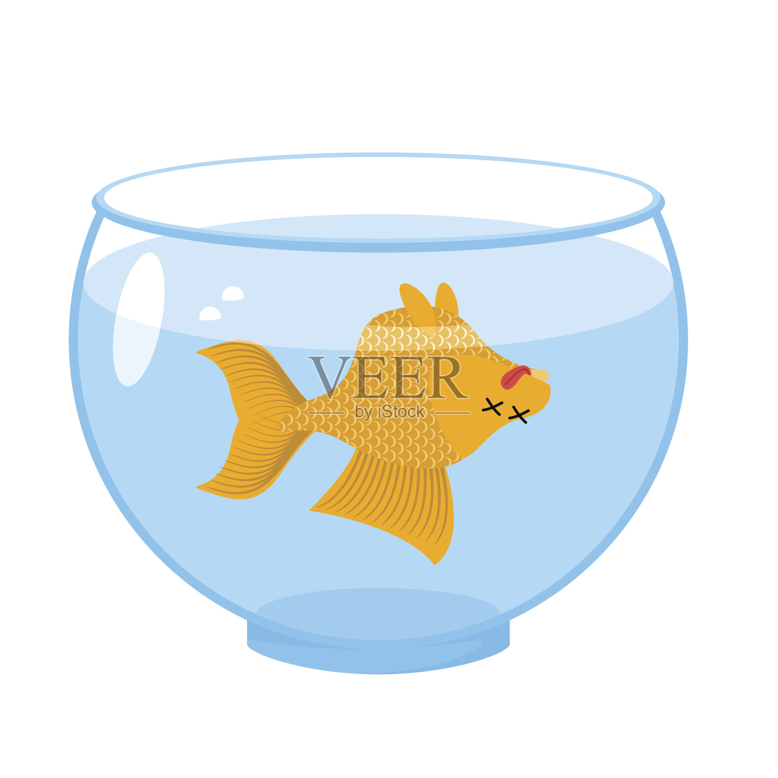 鱼缸里的死金鱼。海洋动物死亡。尸体的金鱼设计元素图片