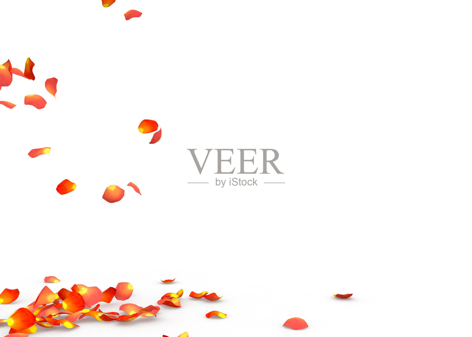 玫瑰花瓣飘落到地板上照片摄影图片