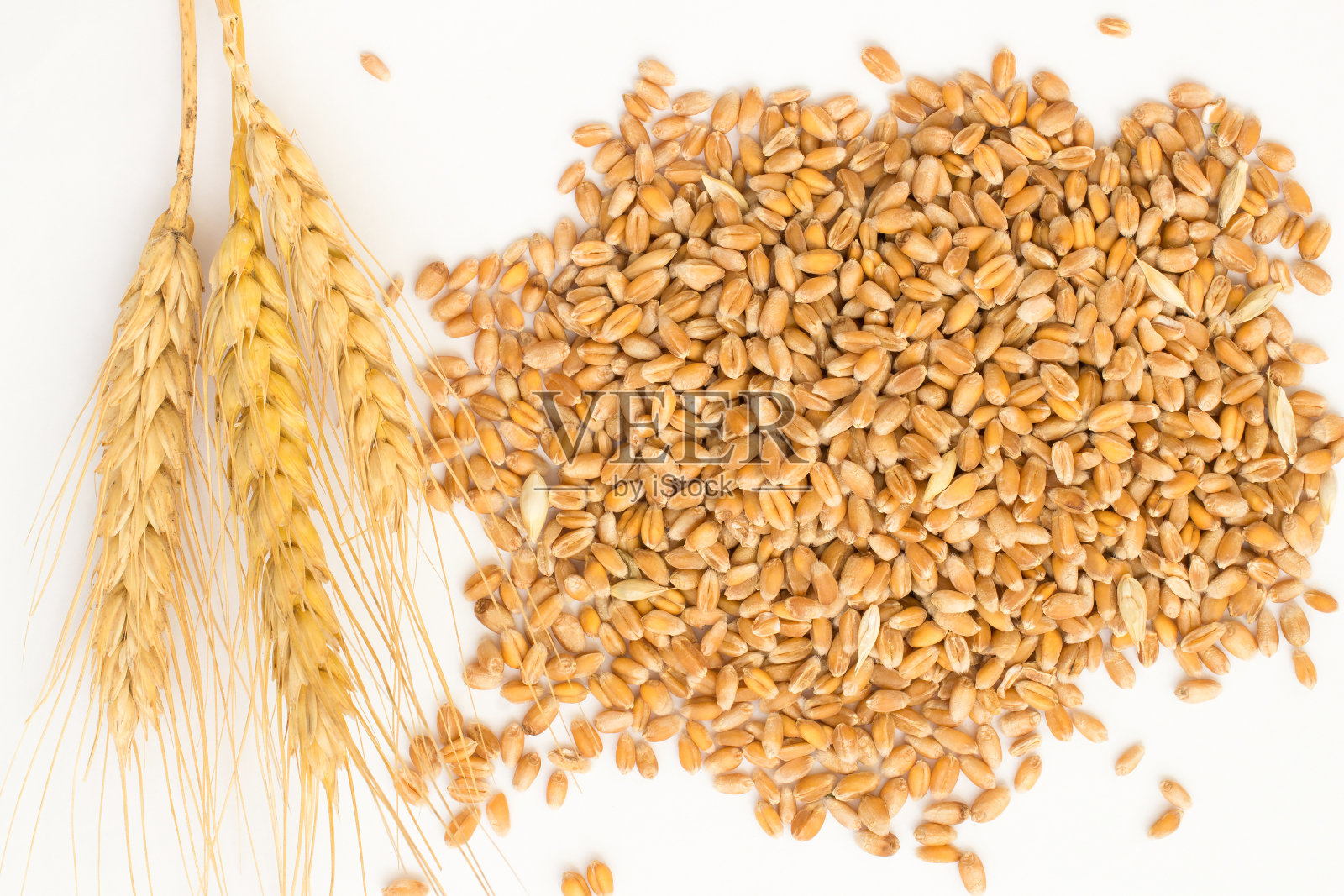 小麦粒和小穗白色背景的小麦照片摄影图片