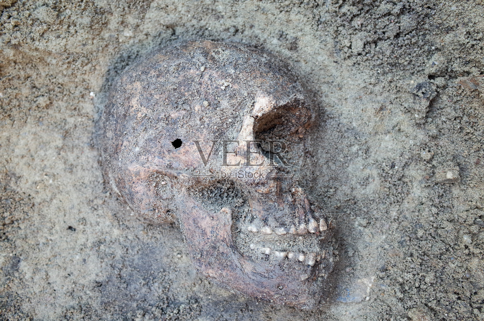 考古发掘用骨骼照片摄影图片