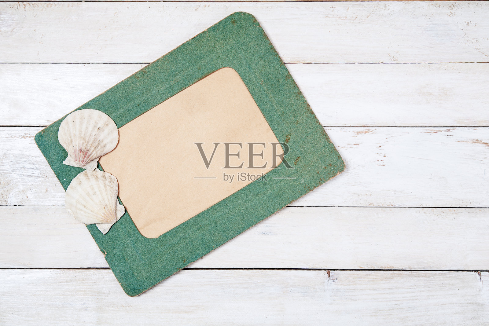 旧的绿色相框和两个海贝壳照片摄影图片