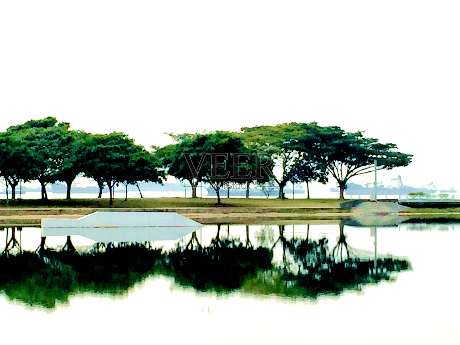 海边旁边的树下小路照片摄影图片