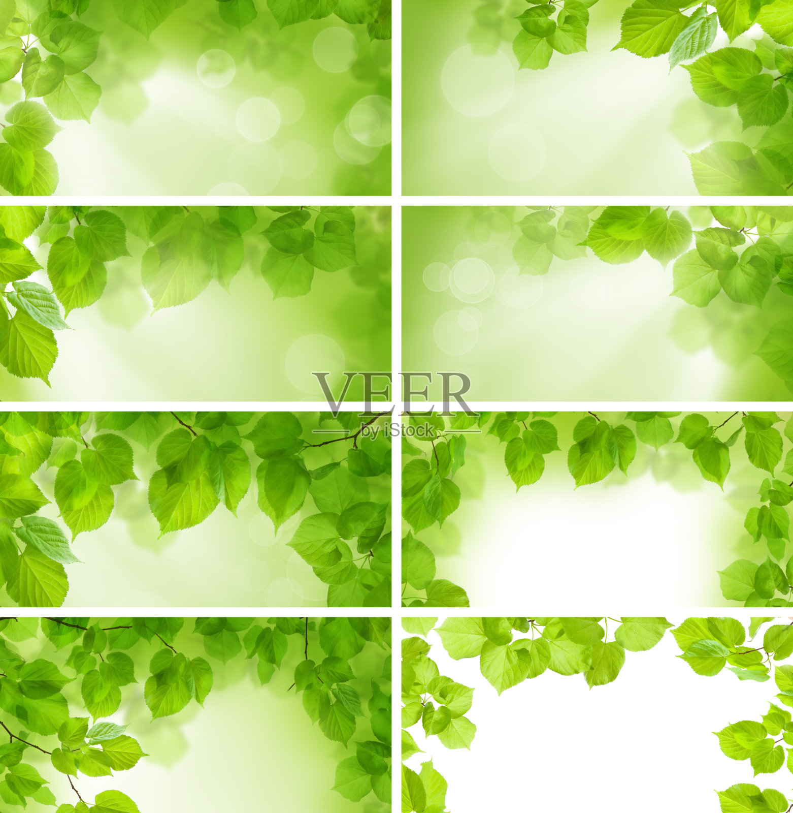 绿叶-背景和边框，设计元素照片摄影图片