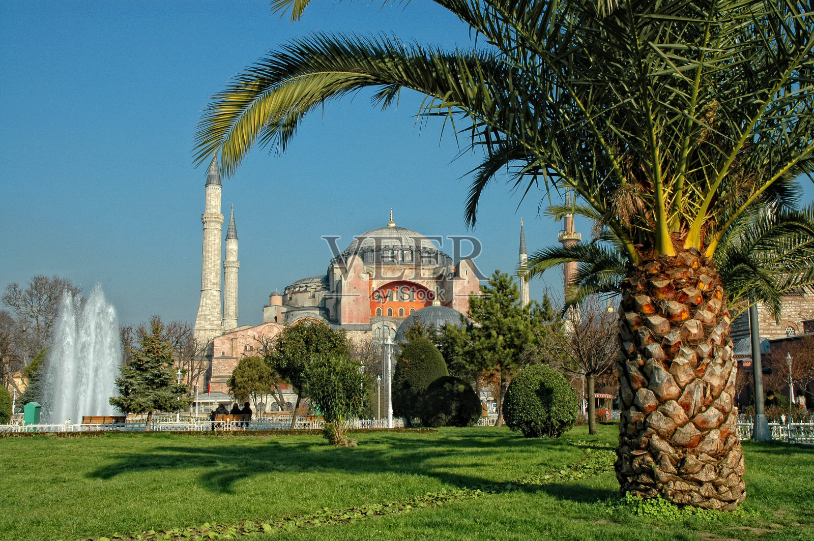 圣索菲亚大教堂和伊斯坦布尔的棕榈花园照片摄影图片