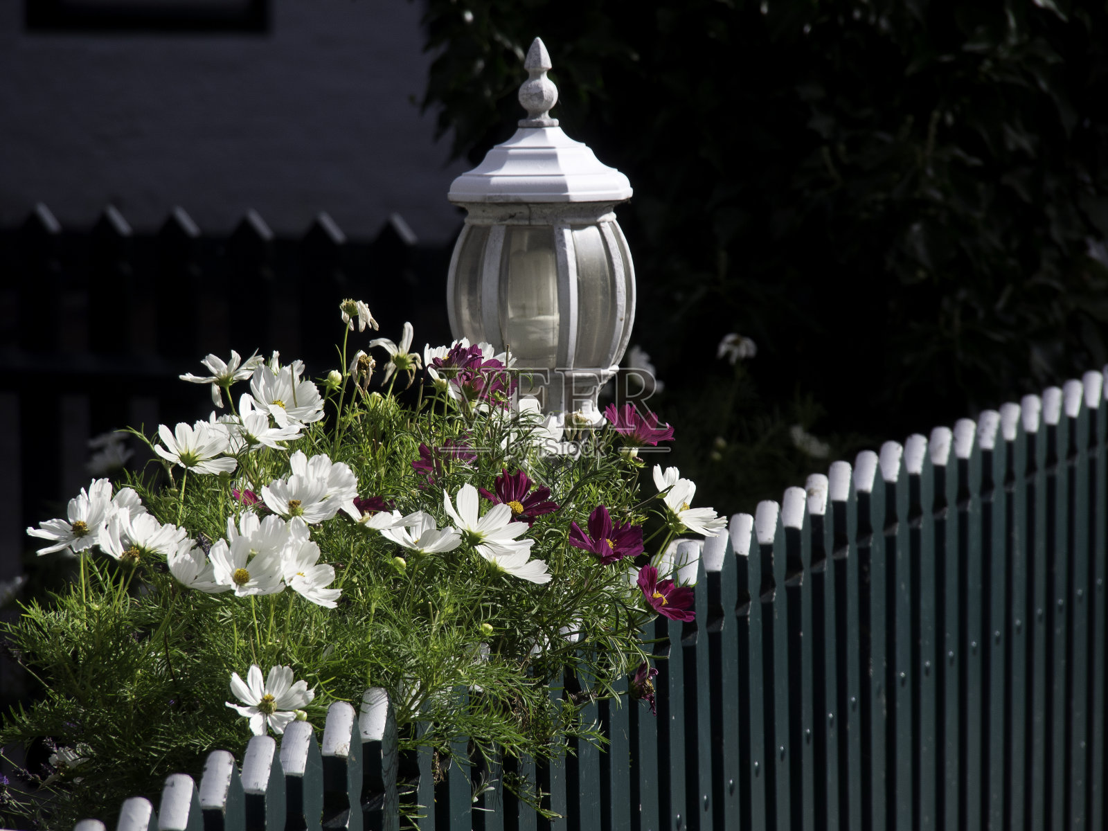 北海照片摄影图片