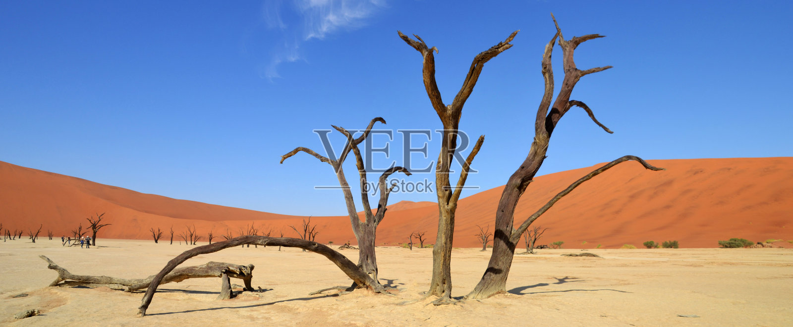 戴德夫莱照片摄影图片