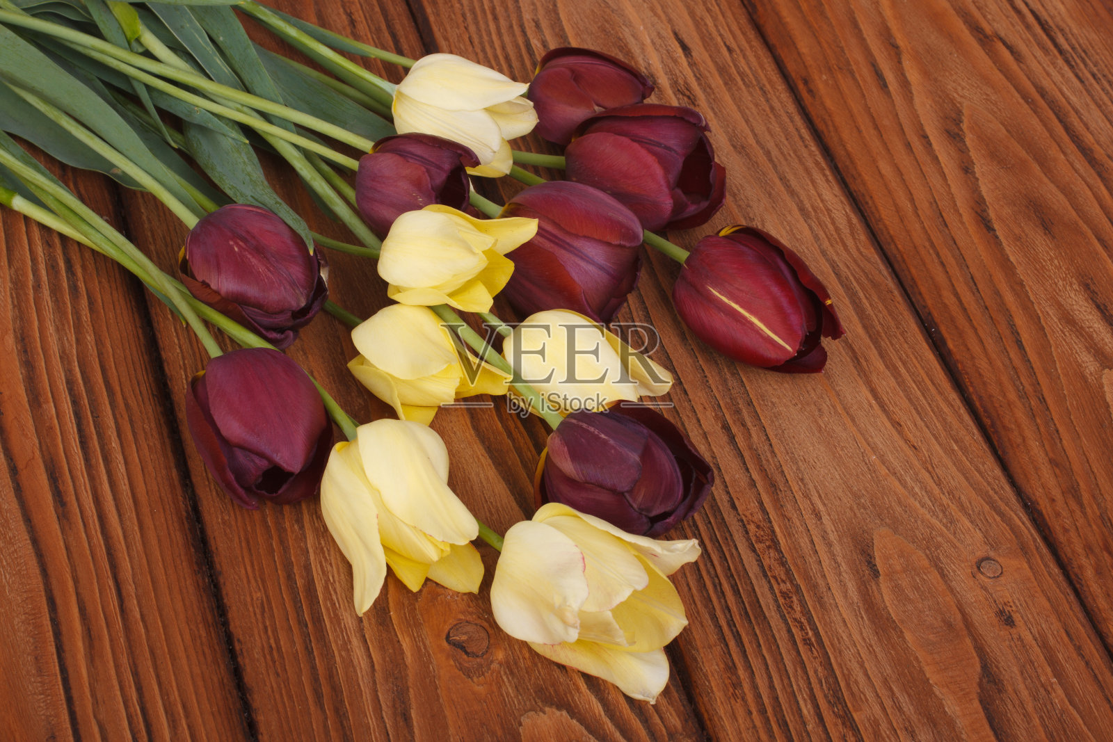 木板上有一束黄色和红色的郁金香照片摄影图片