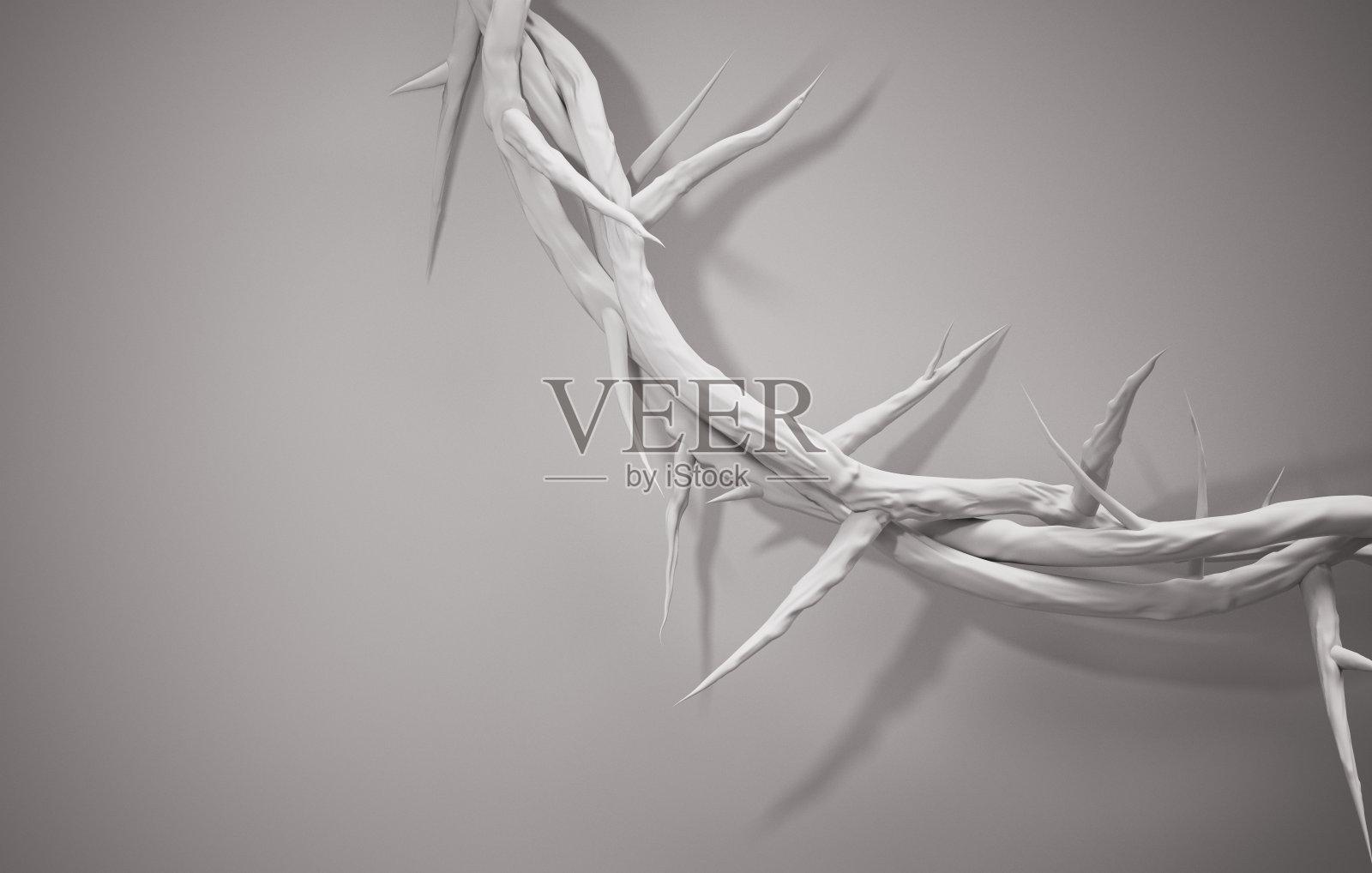 近距离的荆棘王冠3D渲染空白空间照片摄影图片