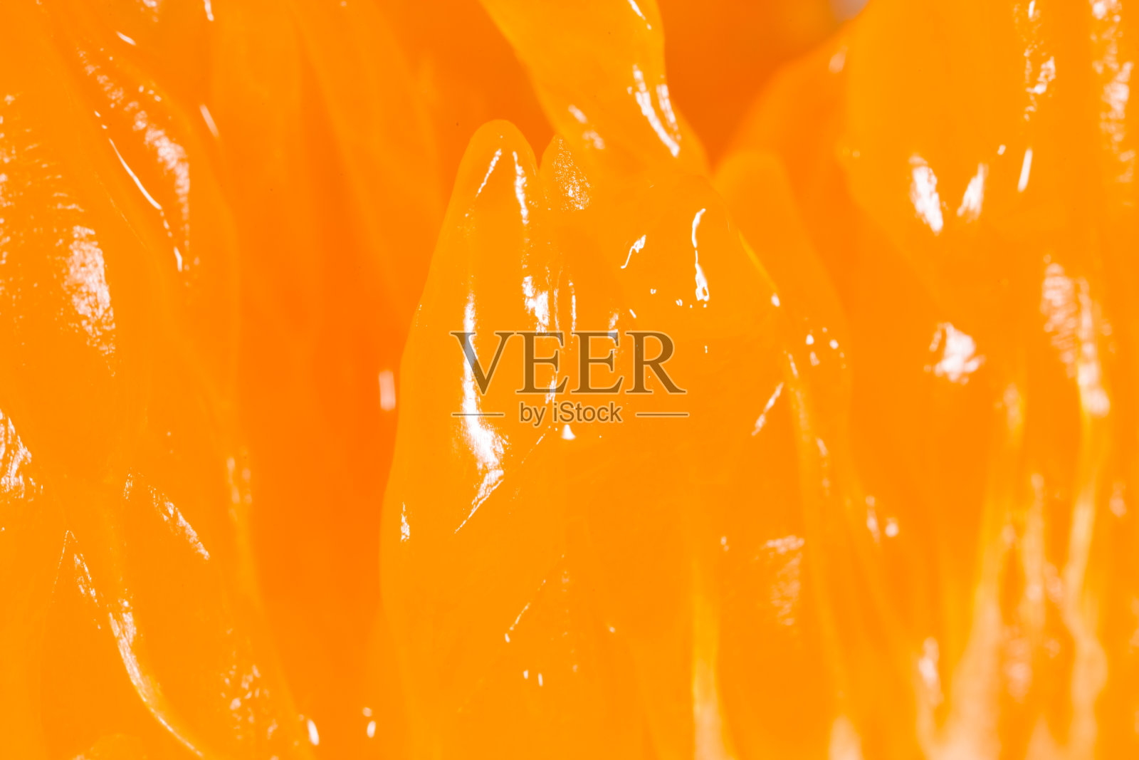 橙色作为背景。超级宏照片摄影图片