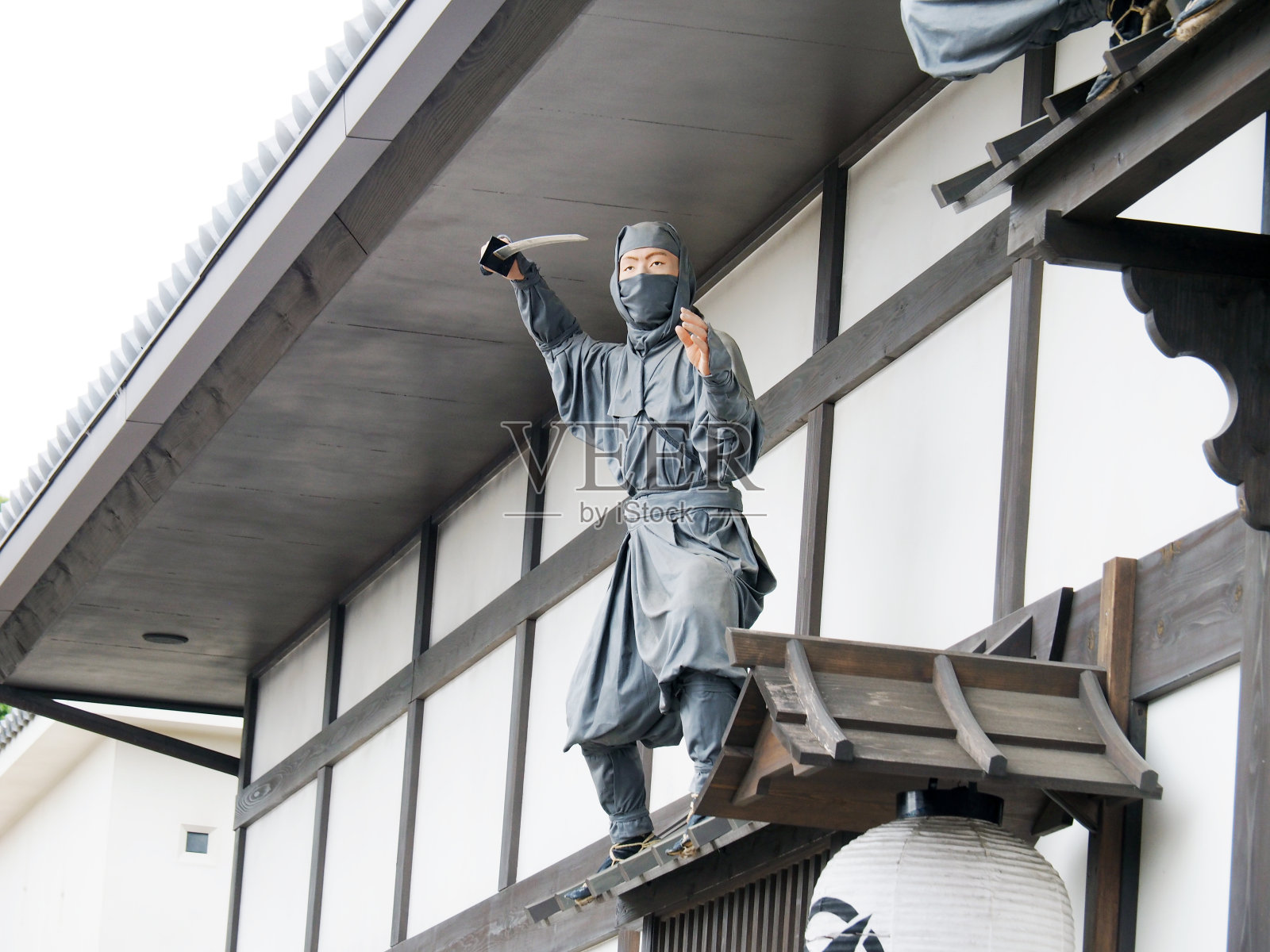 《屋顶忍者》照片摄影图片