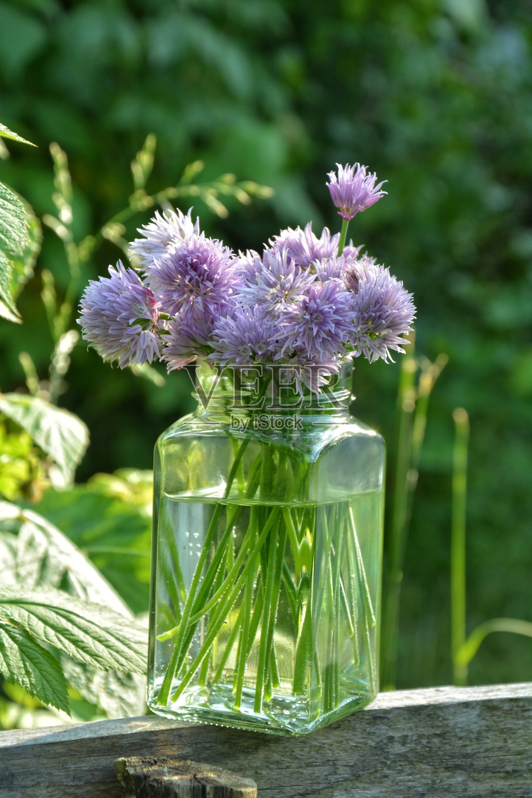 细香葱和紫色花朵的花束放在透明的木头玻璃上照片摄影图片