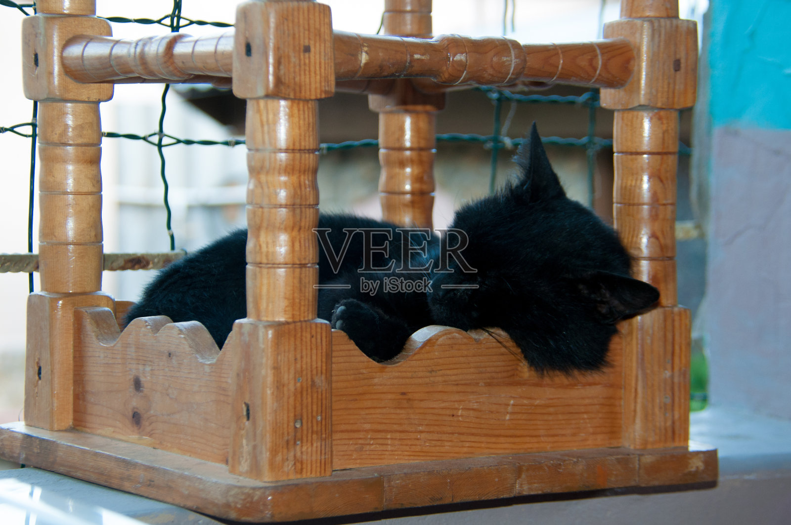 黑猫在椅子上睡觉照片摄影图片