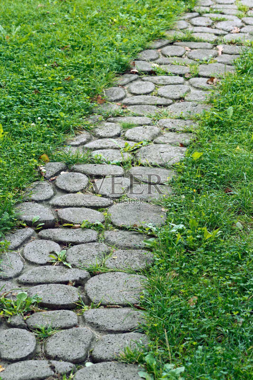鹅卵石路径照片摄影图片