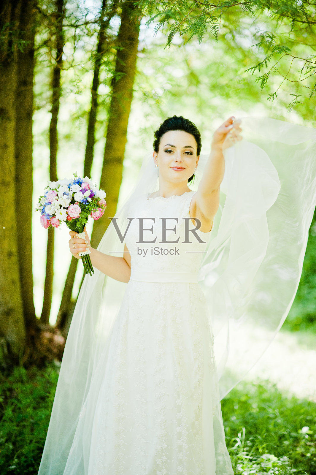 华丽的黑发新娘在户外照片摄影图片