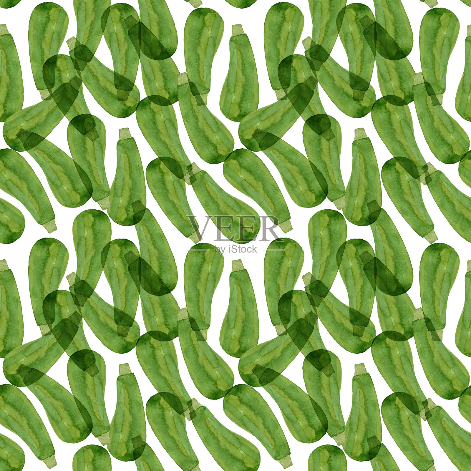 水彩西葫芦模式插画图片素材