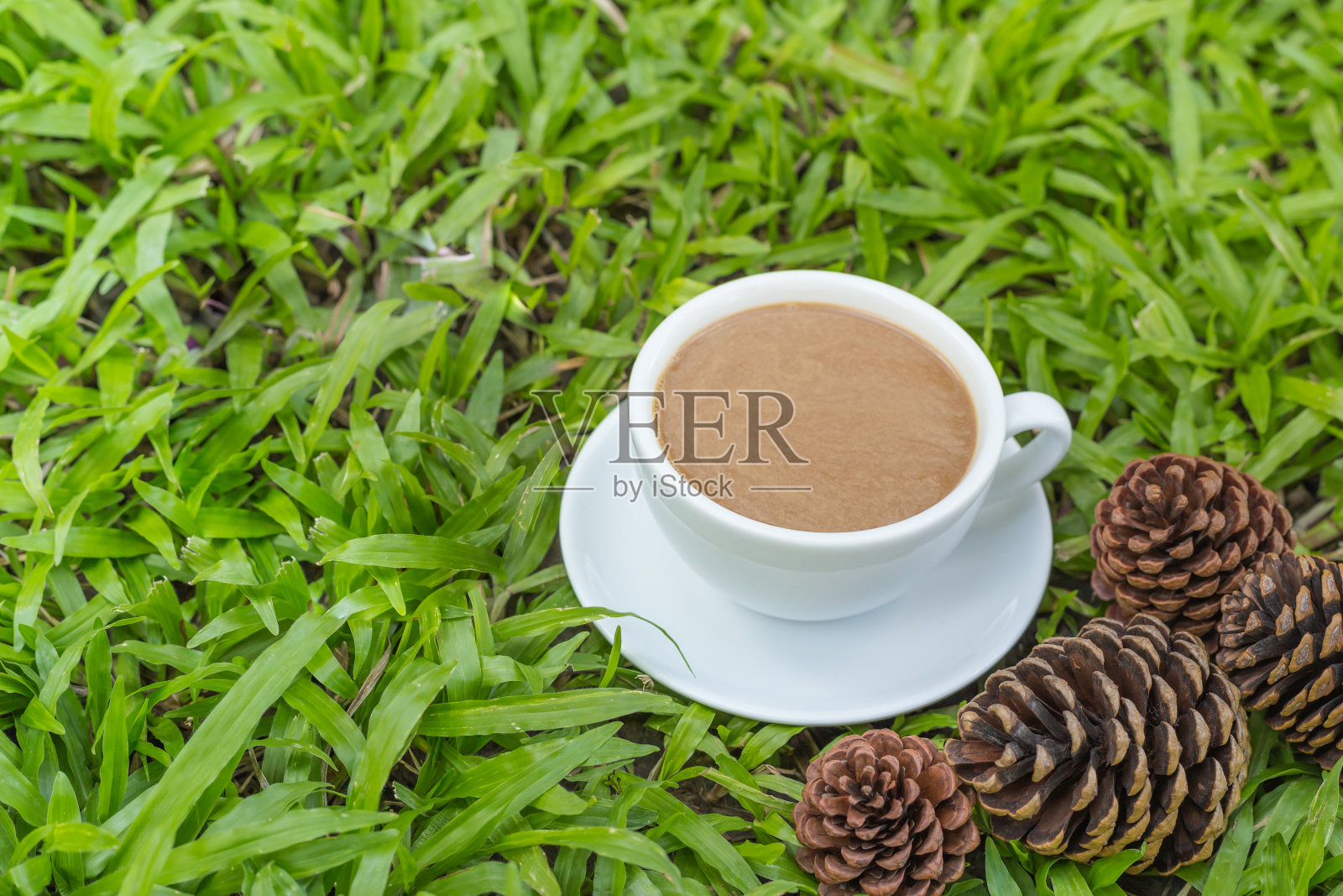 一杯白咖啡，洒在花园里的草地上照片摄影图片