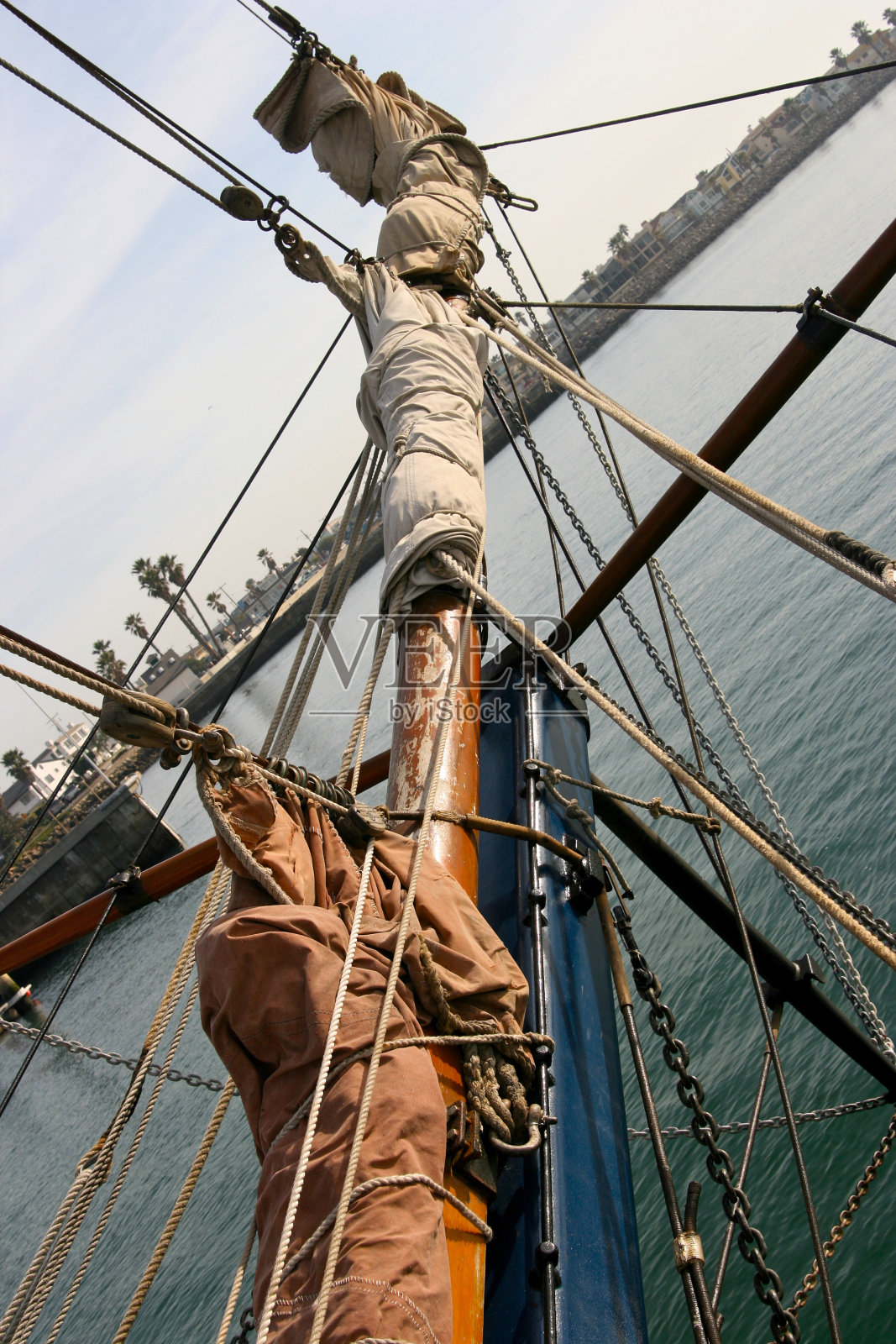 弓在角照片摄影图片