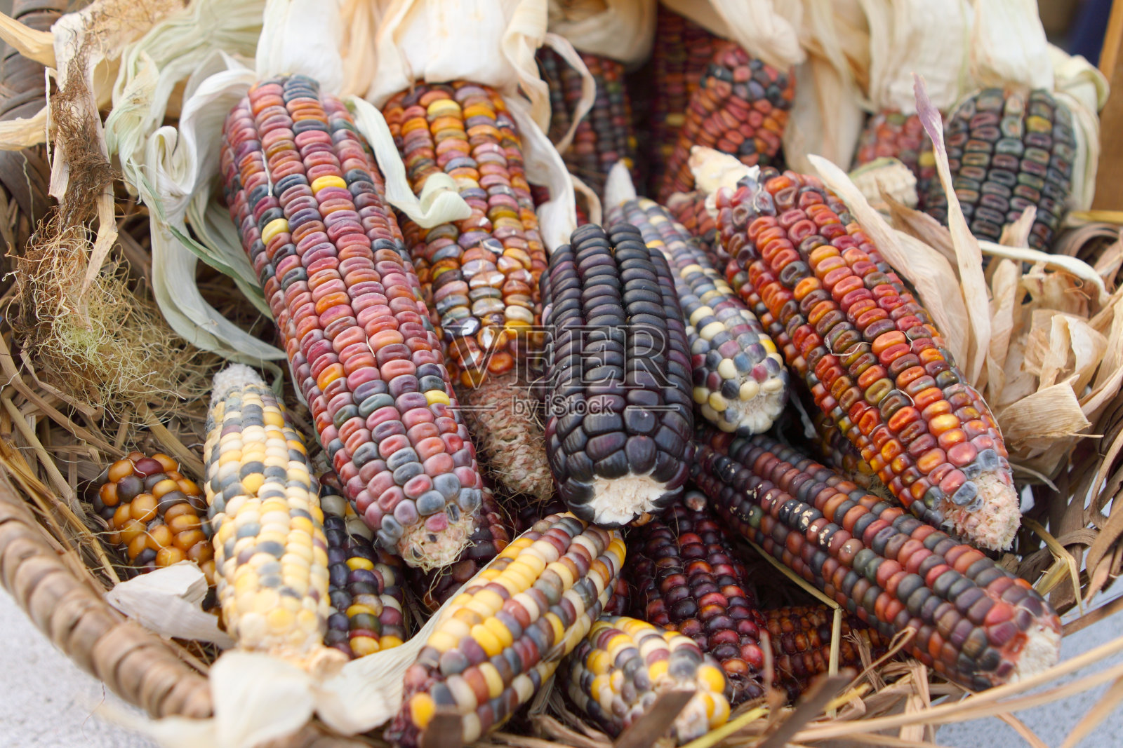 玉米照片摄影图片