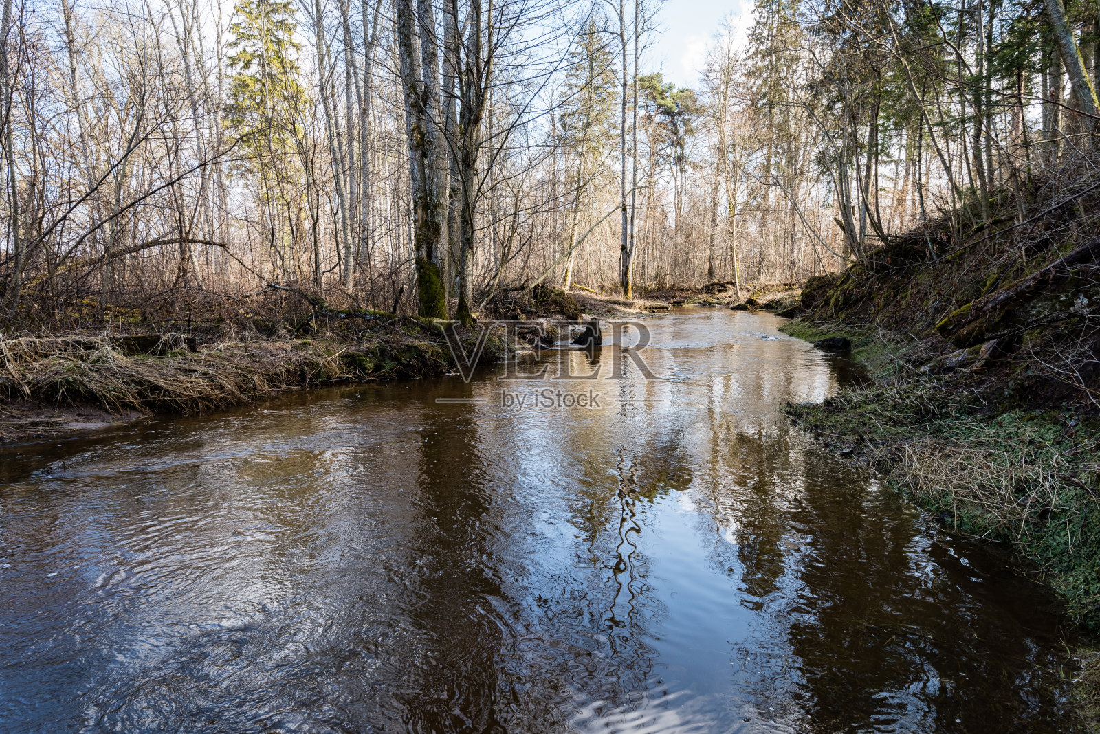 夏天山中有河，周围是森林照片摄影图片