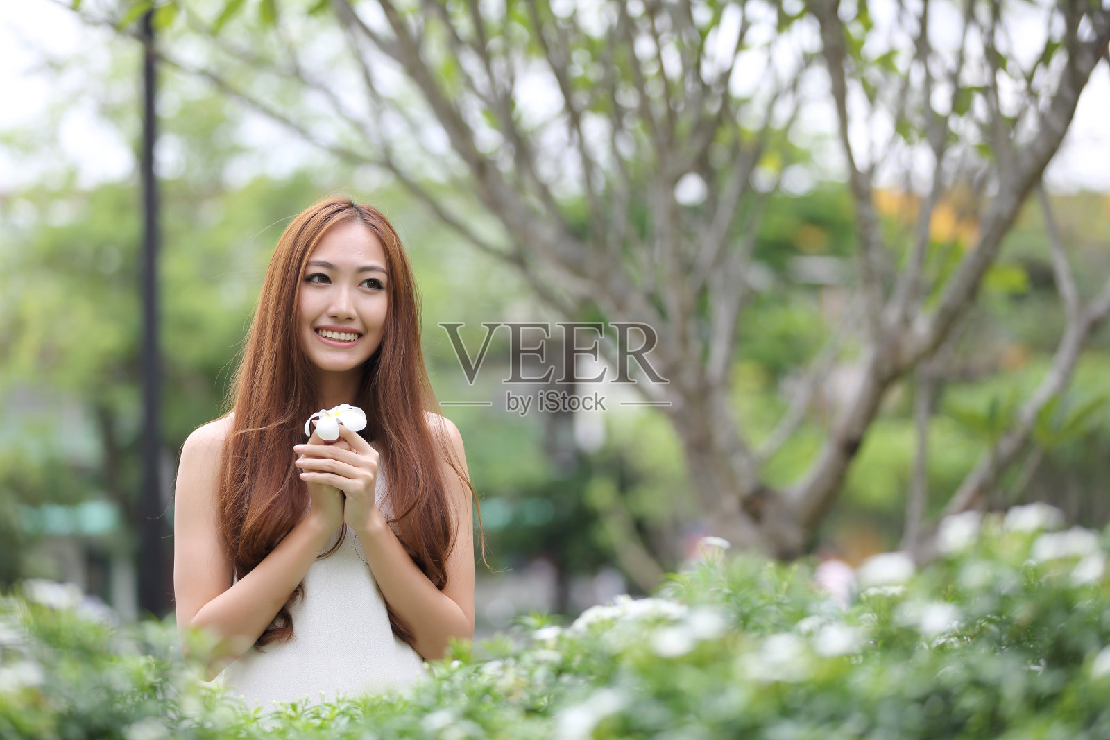 美丽的年轻女子在花园里。亚洲女人肖像照片摄影图片