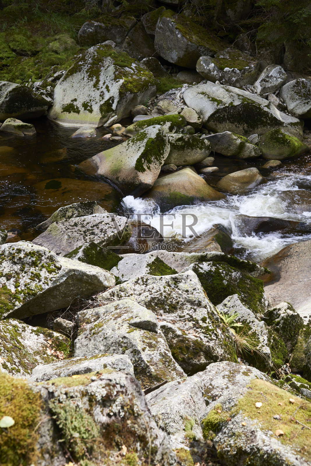 维德拉河荒野，波西米亚森林，苏玛瓦国家公园，捷克共和国照片摄影图片