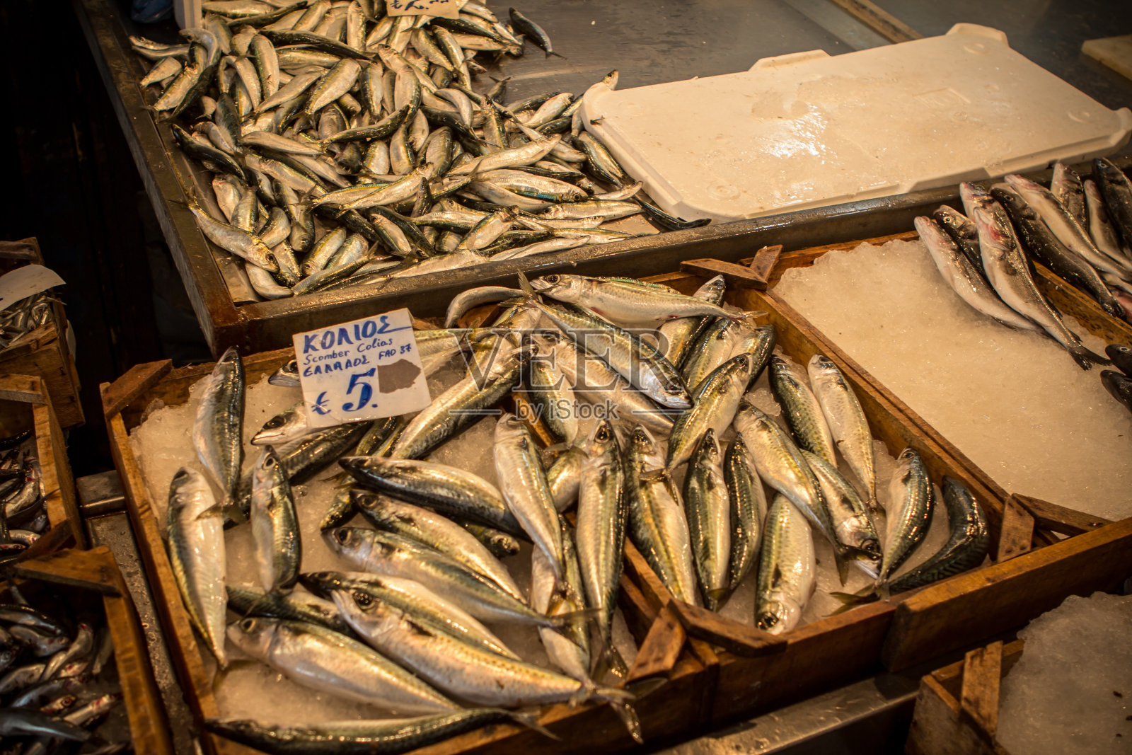 市场上的新鲜鱼照片摄影图片