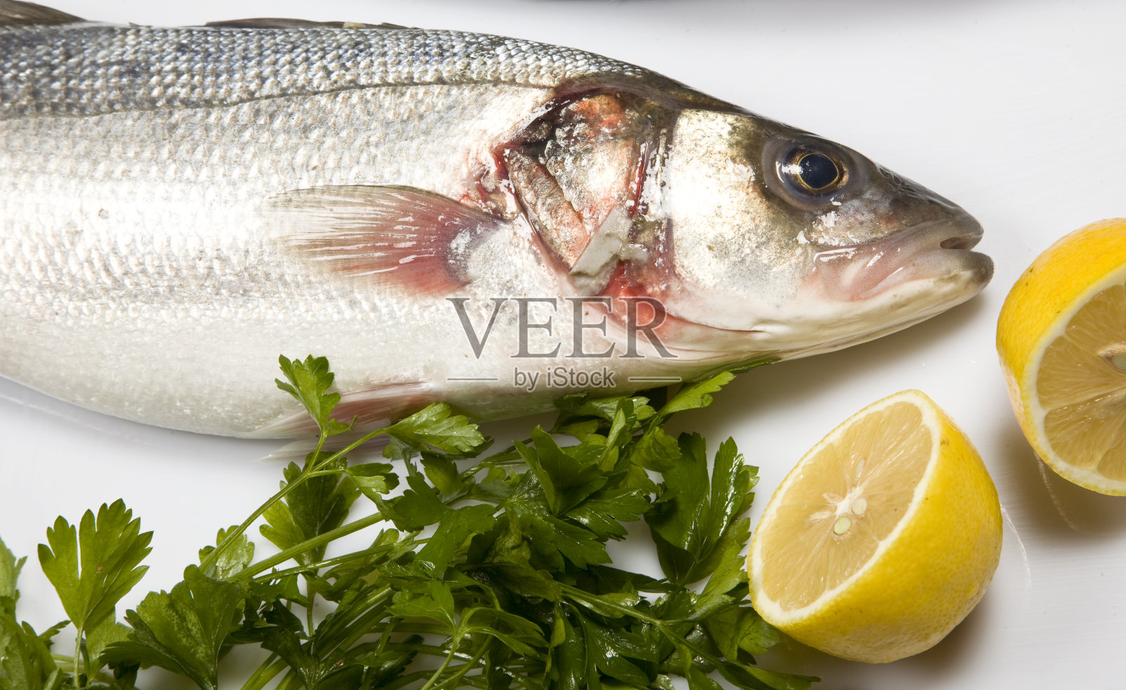 鱼照片摄影图片