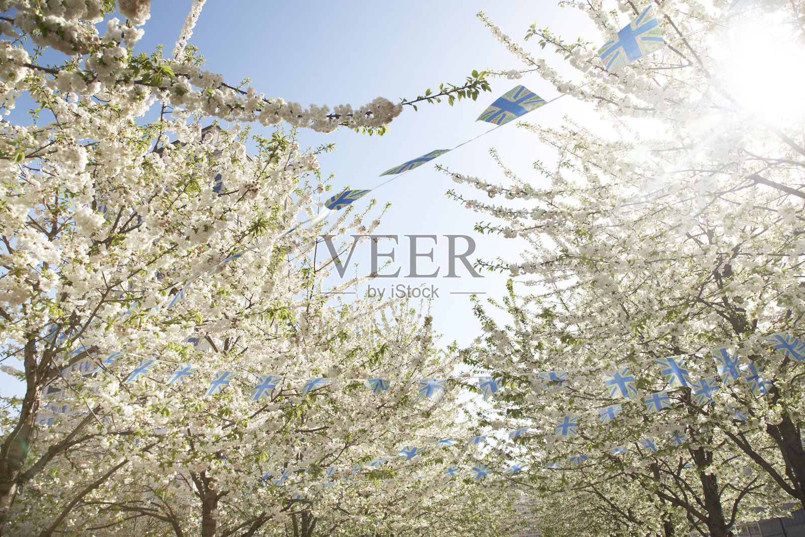 在花丛中飘扬照片摄影图片