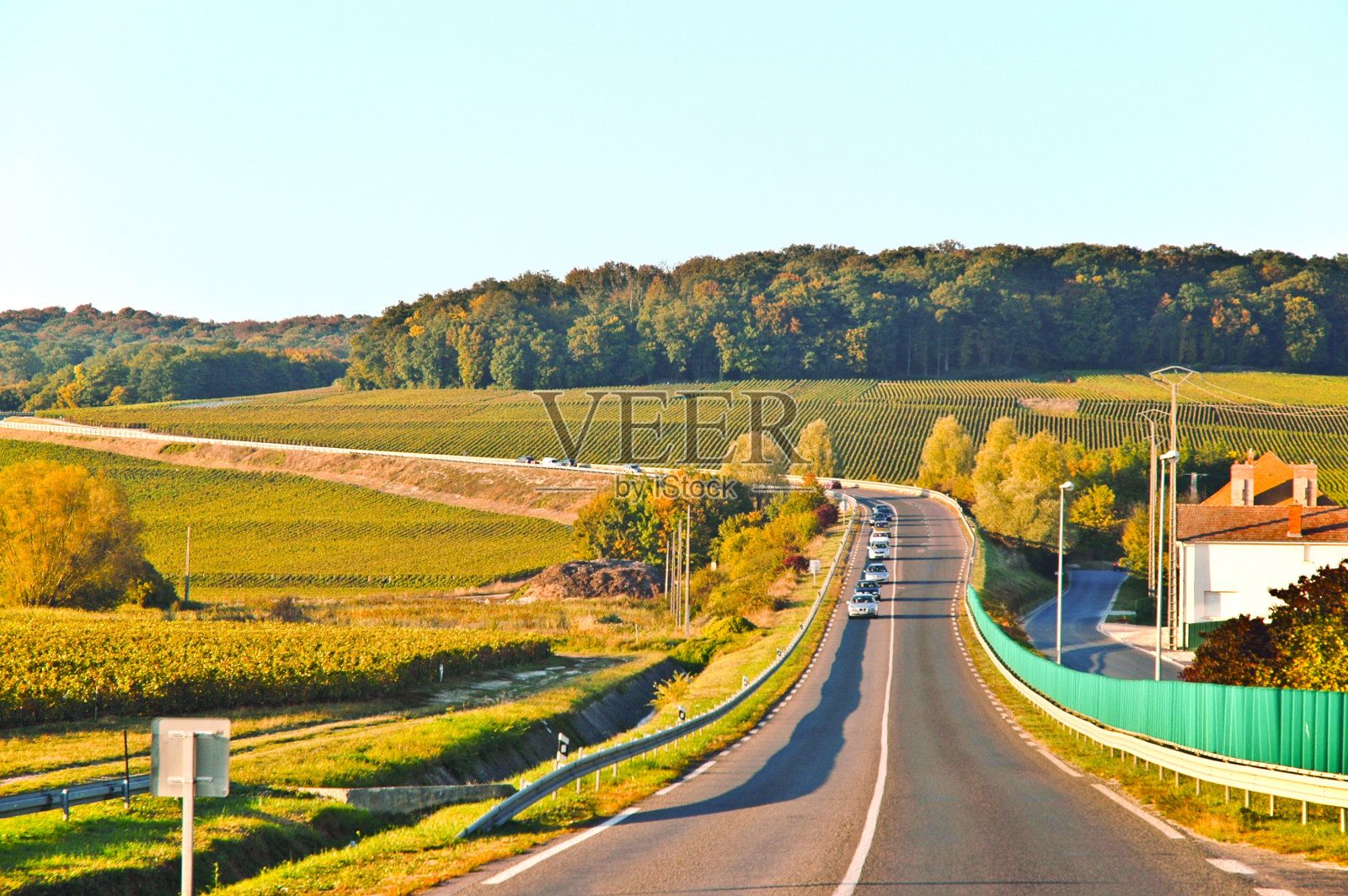香槟Town-Rheims(兰斯)的场景照片摄影图片