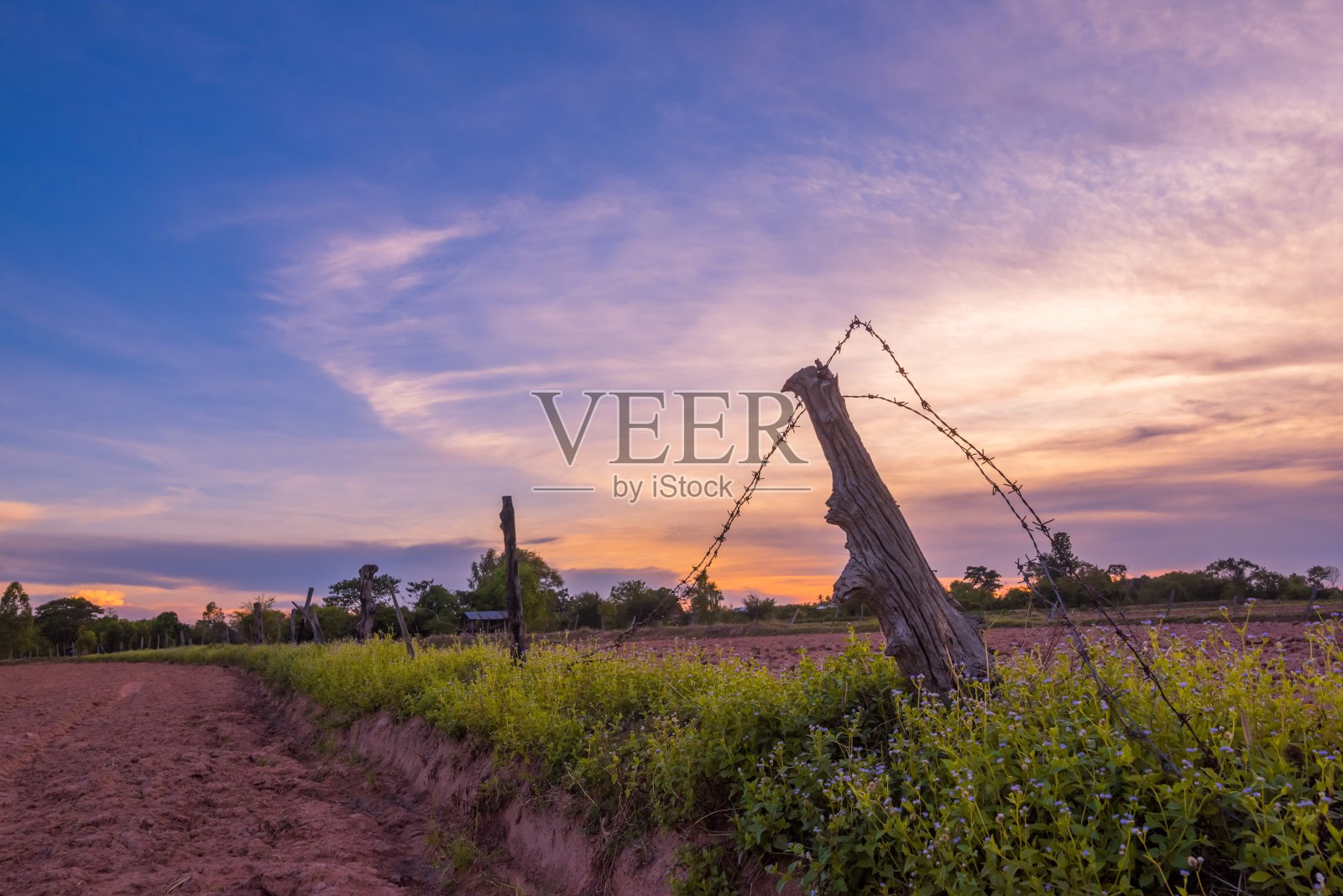 农村场景日落照片摄影图片
