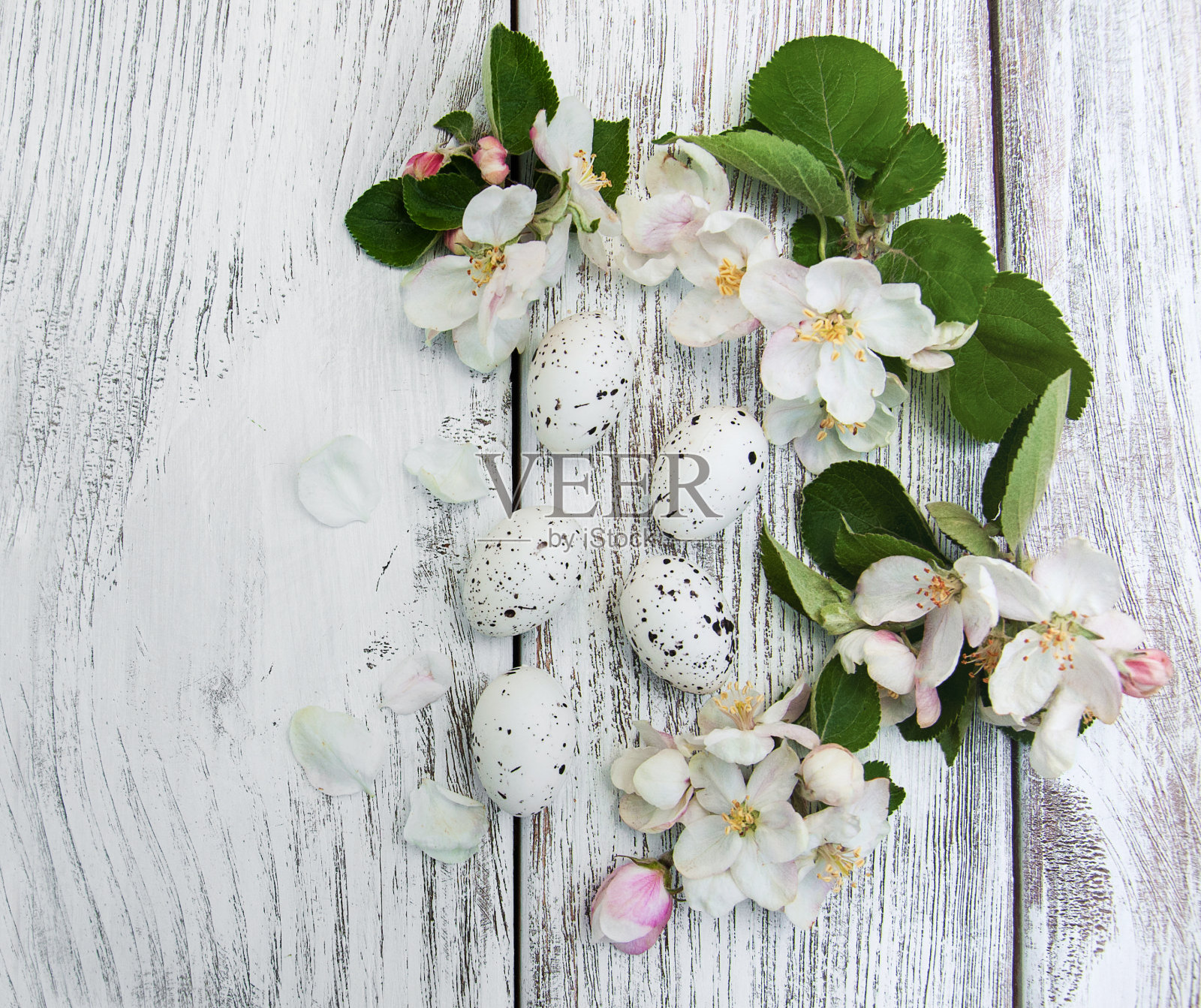 复活节彩蛋和苹果花照片摄影图片