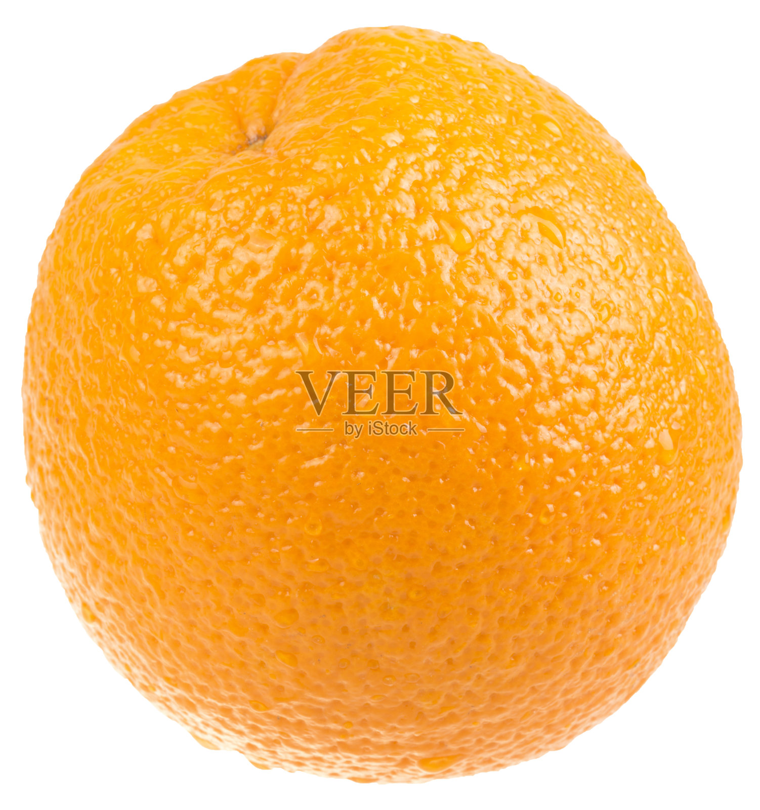 单瓣橙带水滴，孤立照片摄影图片