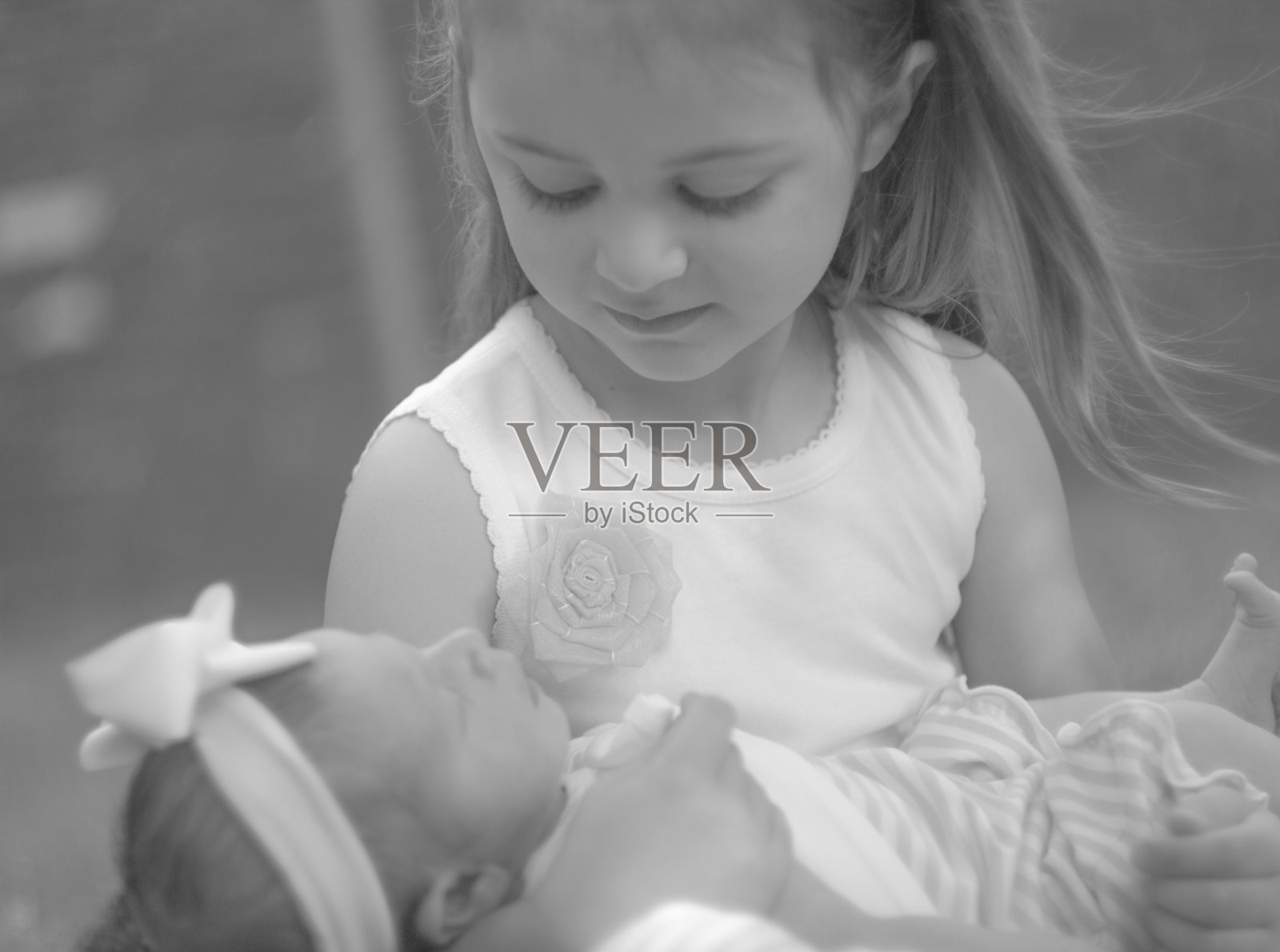 爱姐妹照片摄影图片