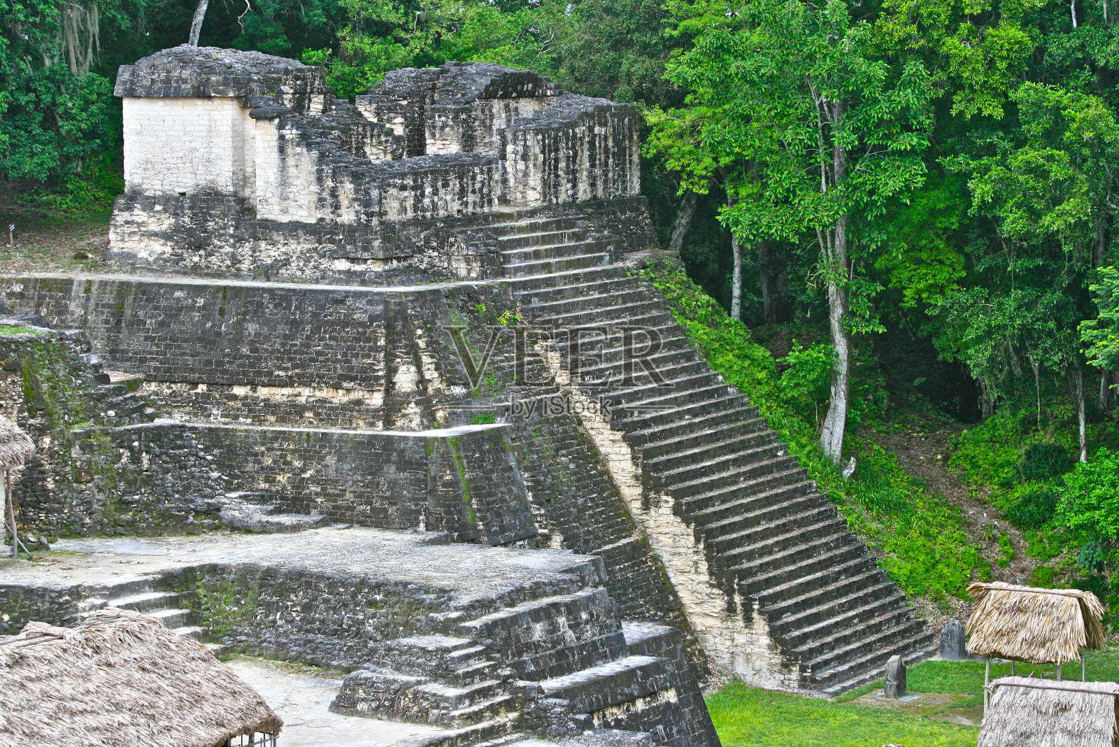蒂卡尔金字塔的步骤照片摄影图片