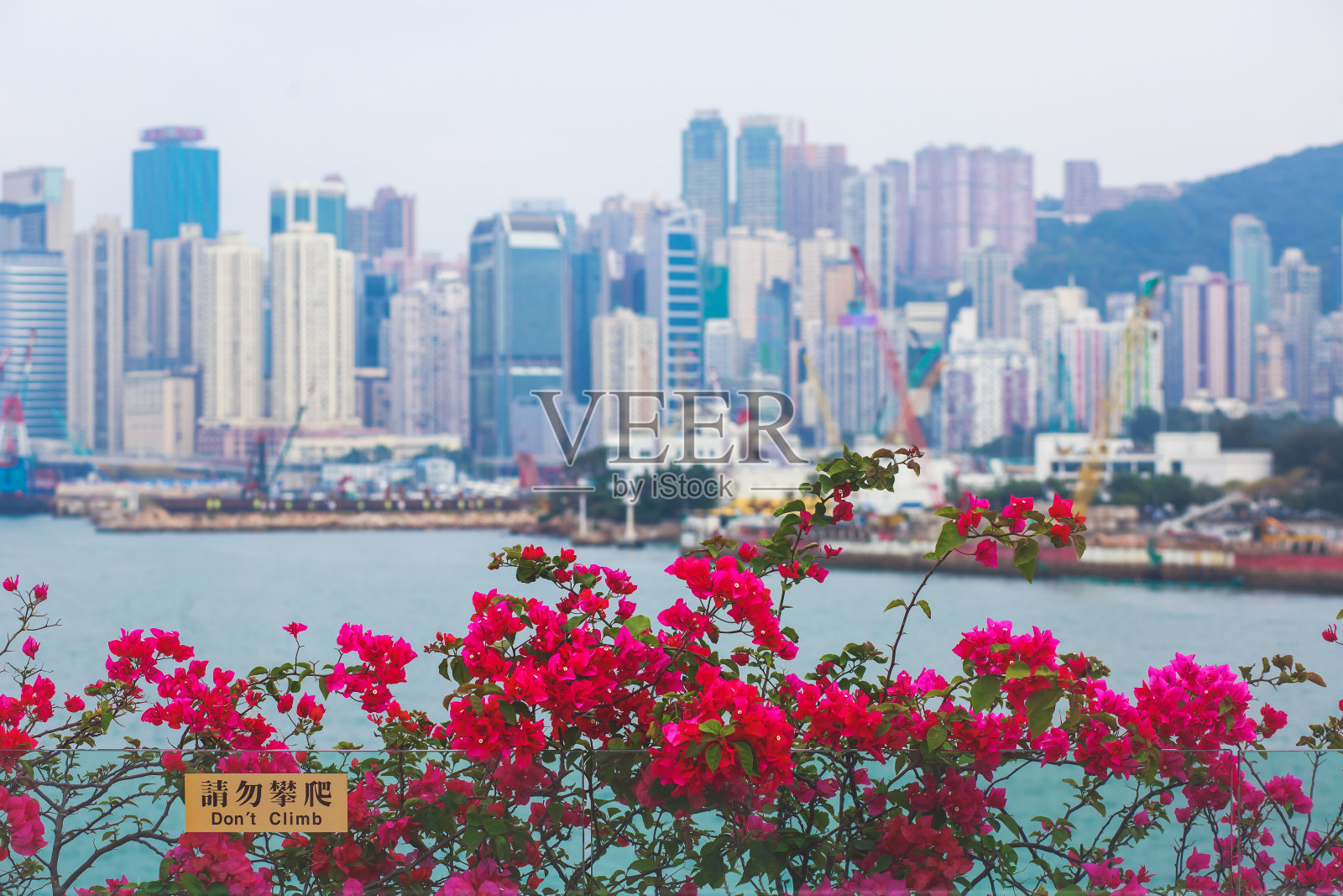 美丽的超广角夏季鸟瞰图香港岛天际线，维多利亚湾海港，摩天大楼，蓝天和城市之外的风景，从九龙观景台照片摄影图片