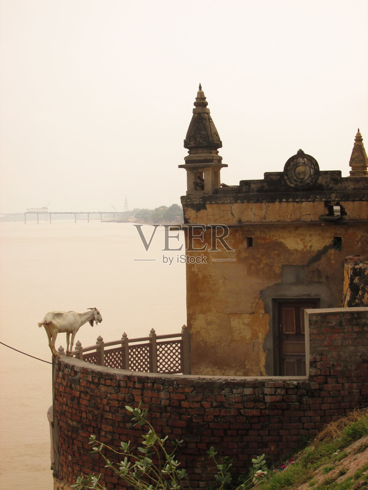 神奇的印度照片摄影图片
