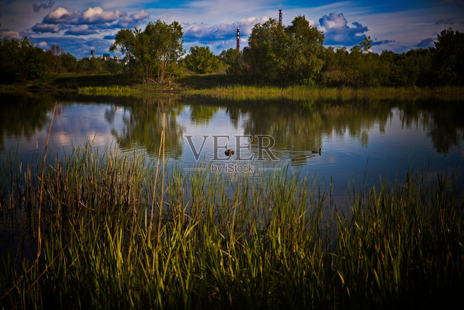 河边的春日。照片摄影图片