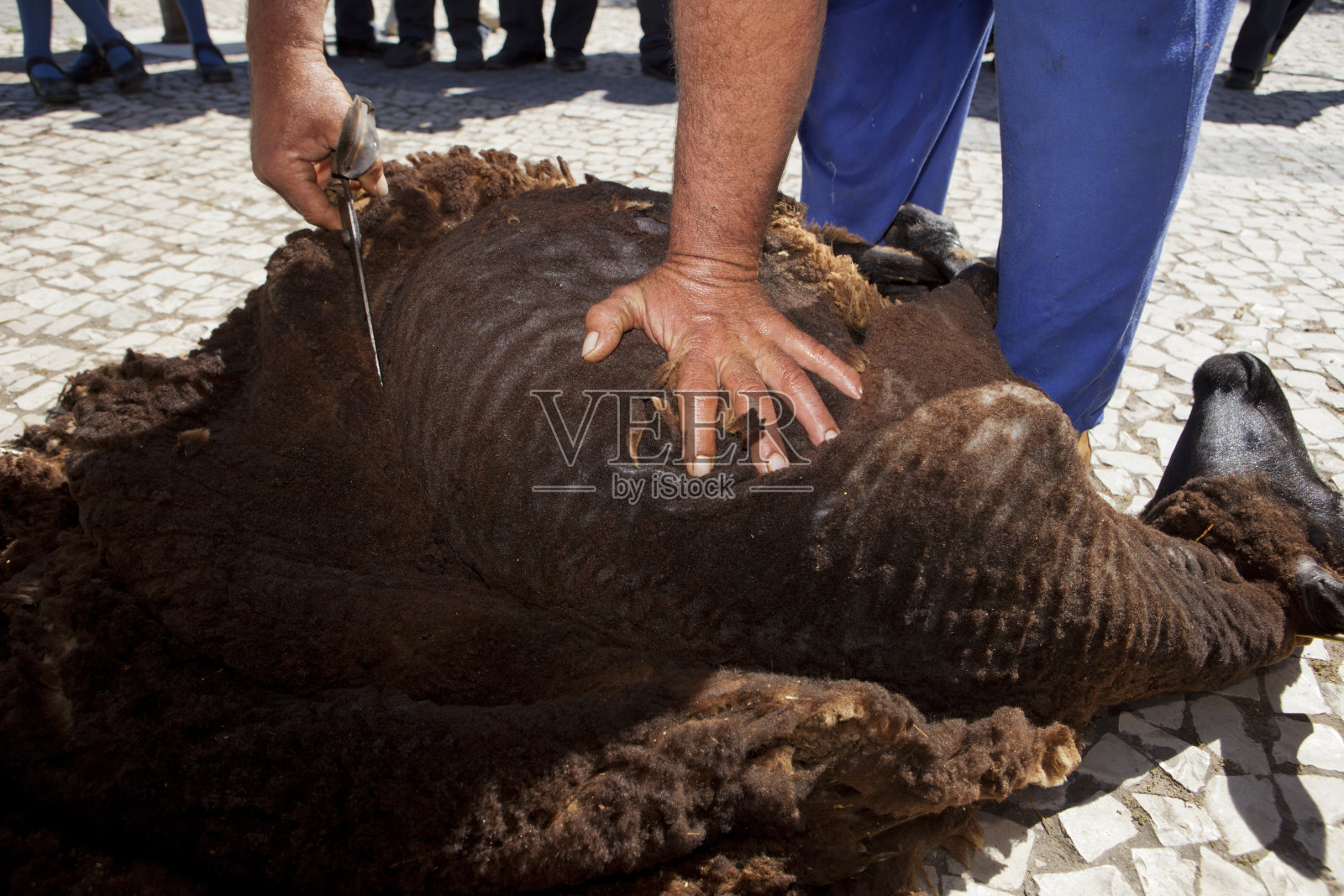 用传统手工剪剪照片摄影图片