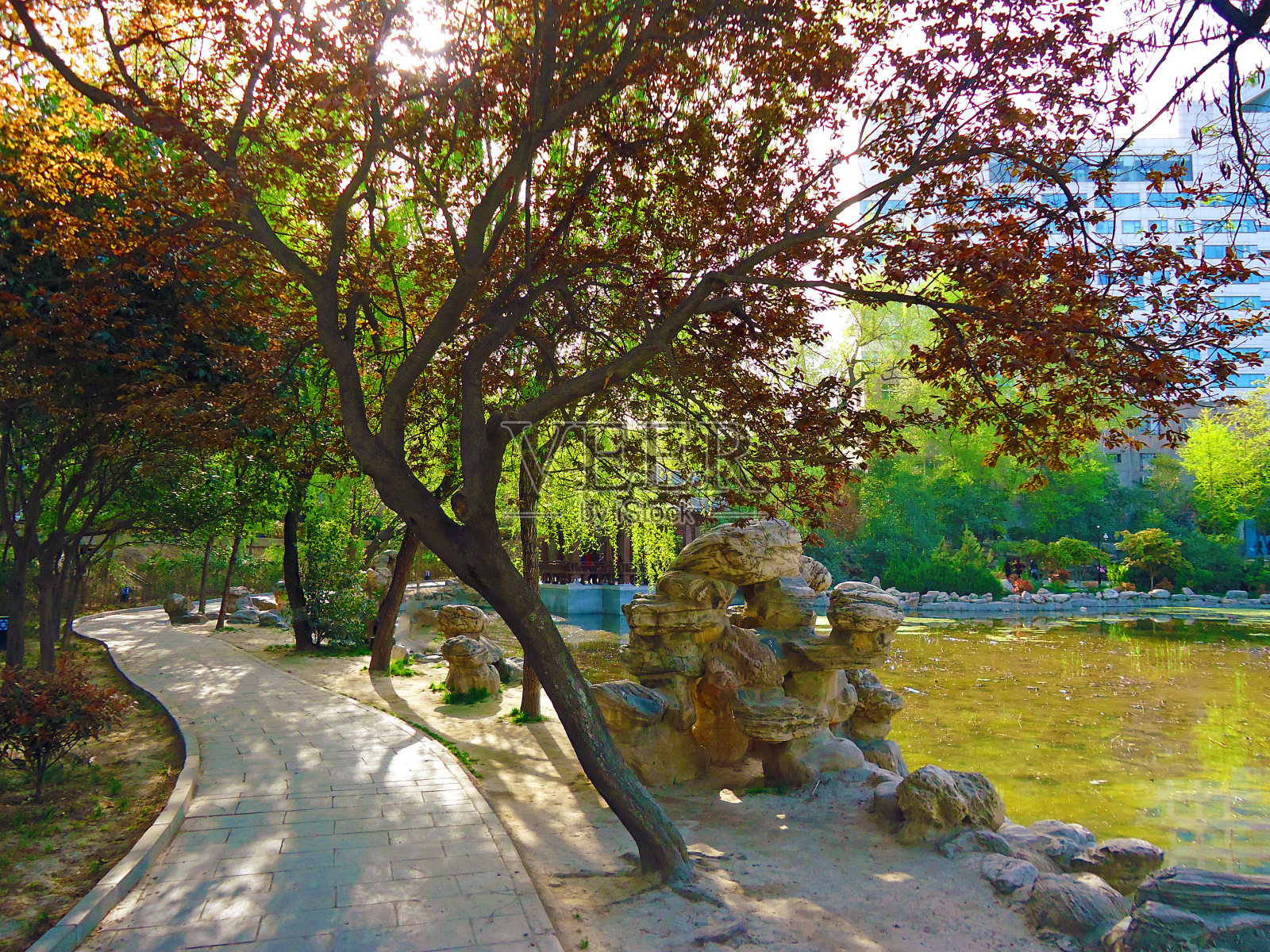 美丽的中国公园，中国照片摄影图片