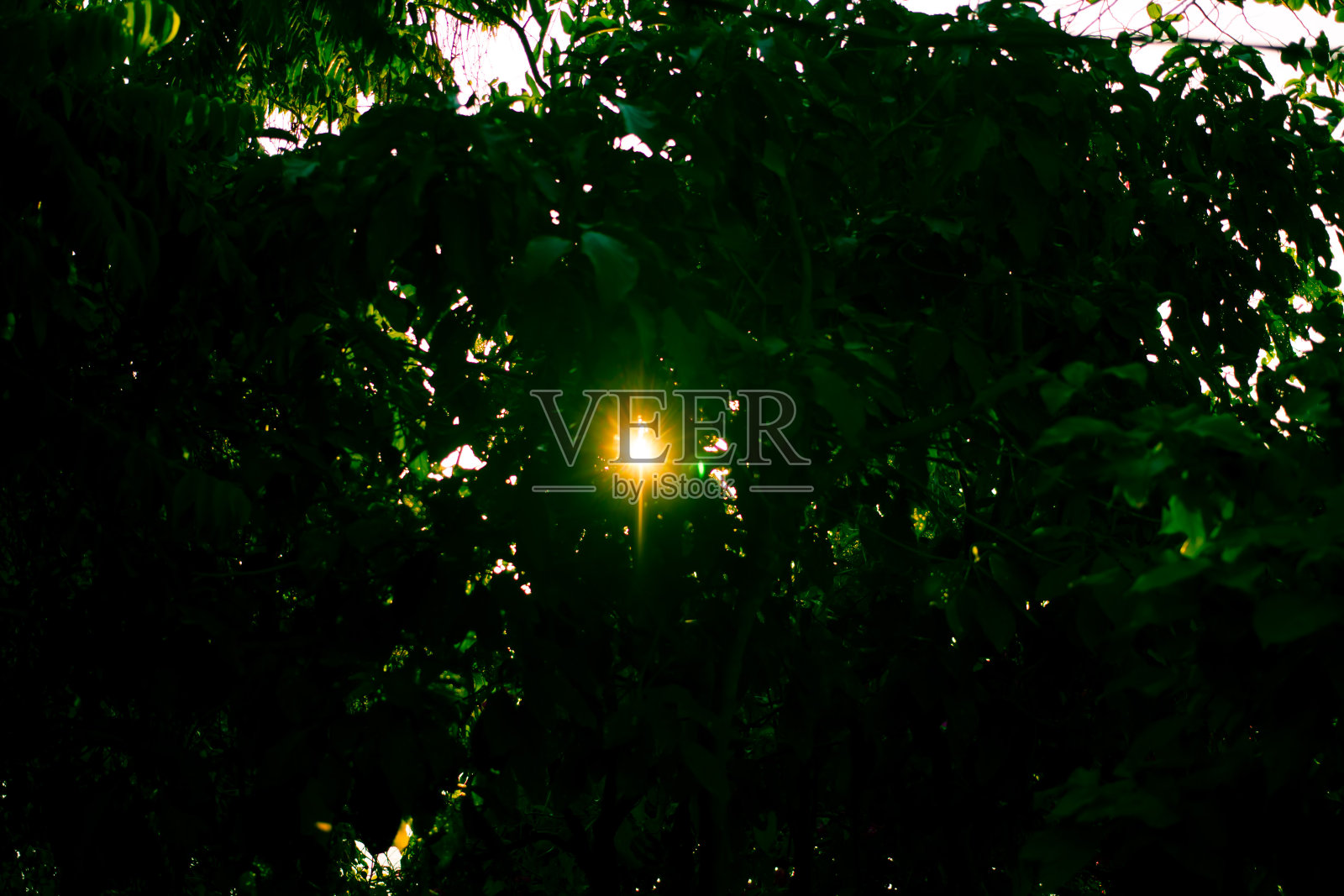 印尼巴厘岛照片摄影图片