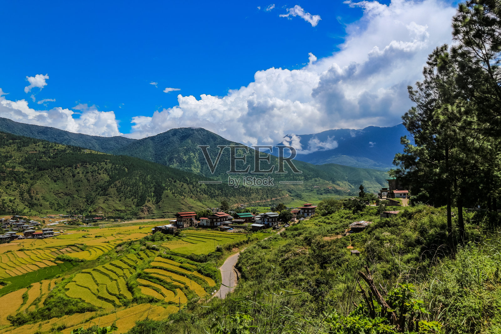 不丹Punakha的一个村庄和梯田照片摄影图片