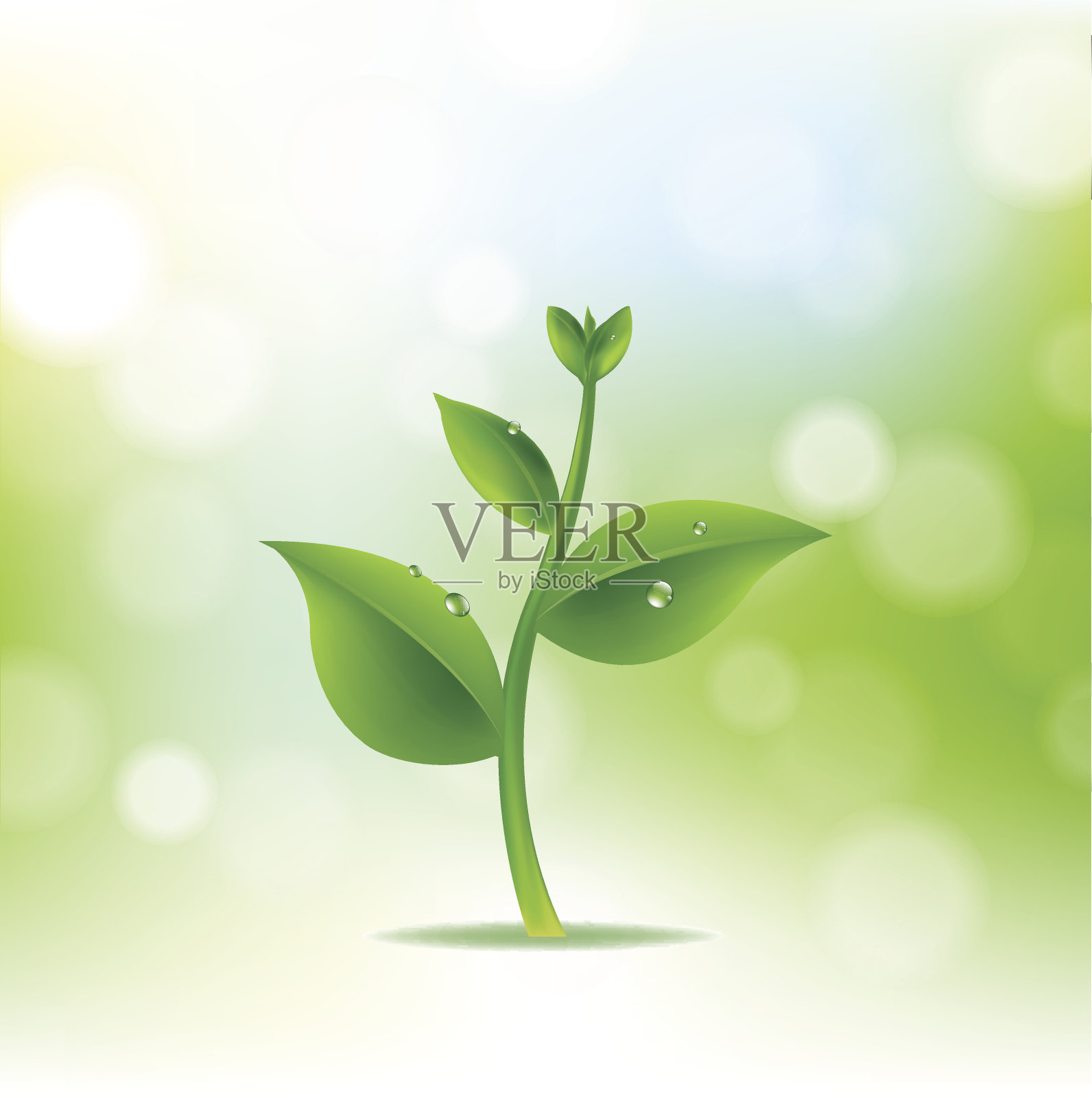 有植物和水滴的自然背景设计元素图片