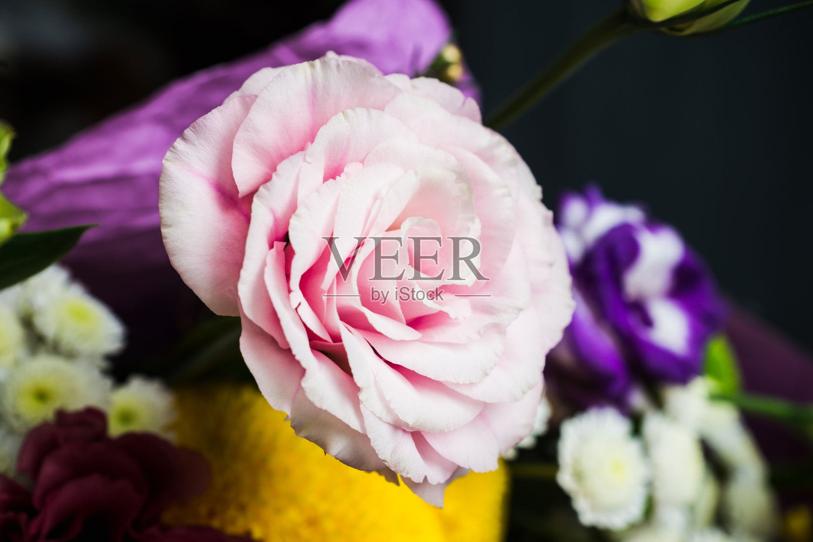 木质背景上有许多不同花朵的花束照片摄影图片