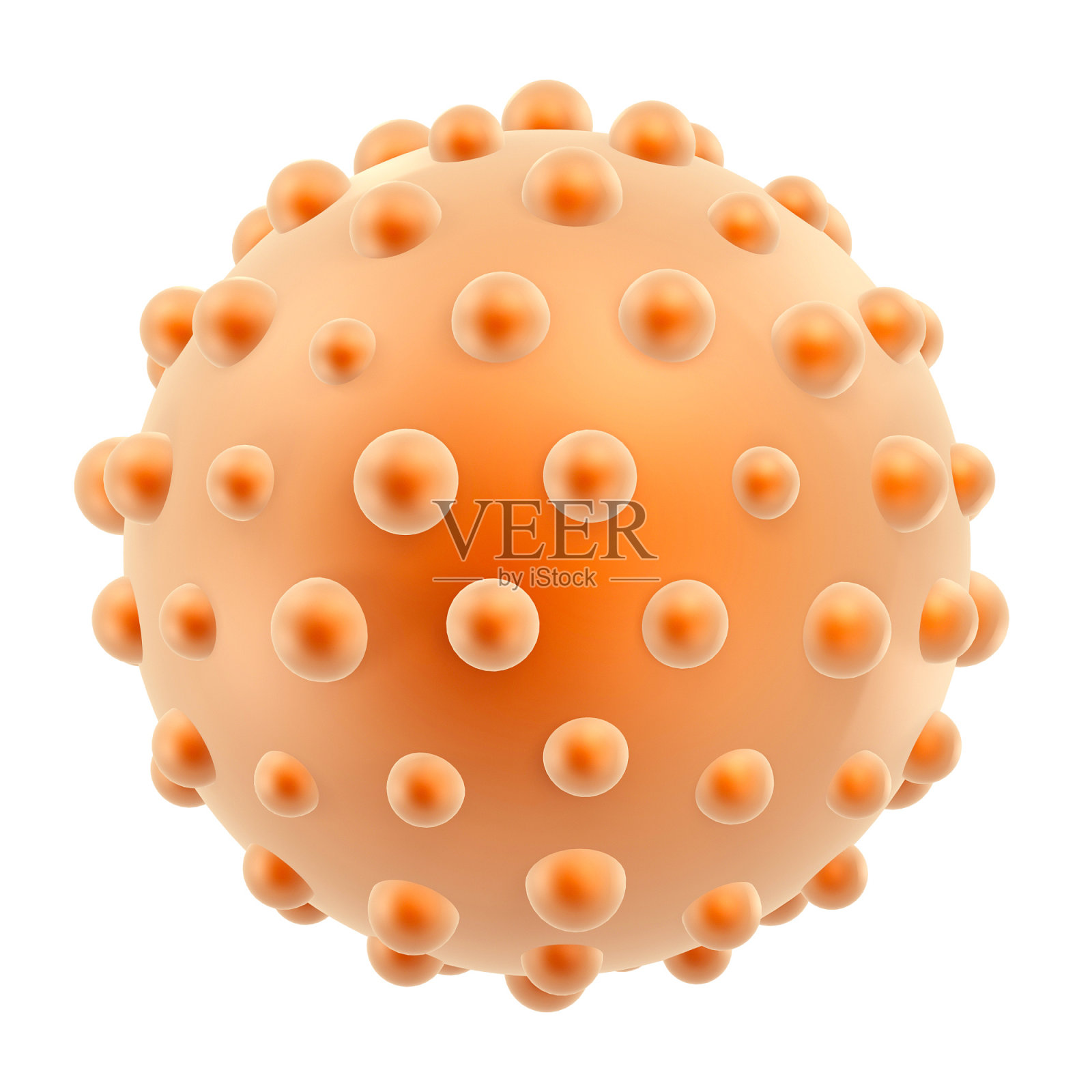 细菌细胞照片摄影图片