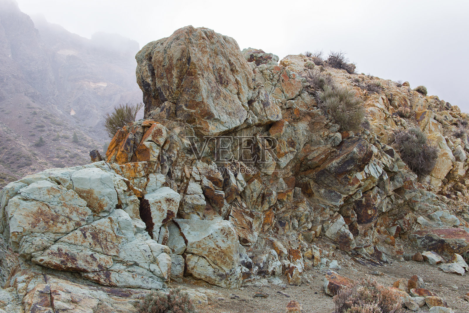 泰德国家公园照片摄影图片