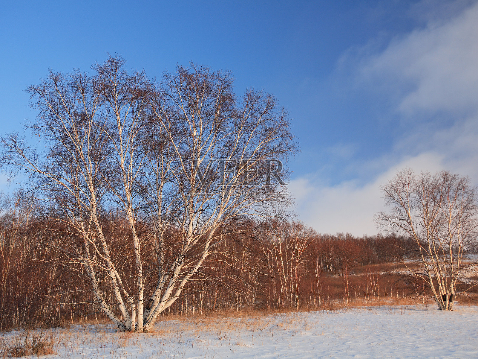 冬天的晚上照片摄影图片