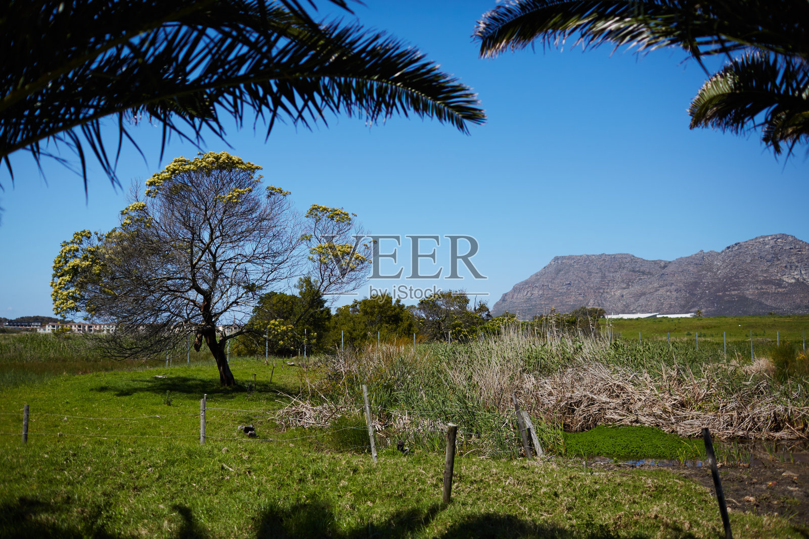 南非的山区景观照片摄影图片